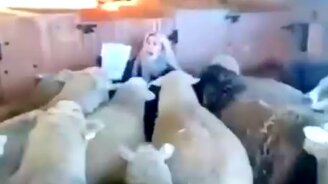 И больше её никто не видел - смотреть видео (0:09)