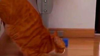 Я в конце рабочего дня - смотреть видео (0:06)