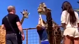 Угощай до конца! - смотреть видео (0:13)