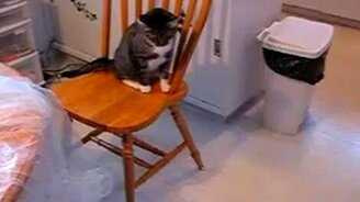 Не приставай ко мне - смотреть видео (0:40)