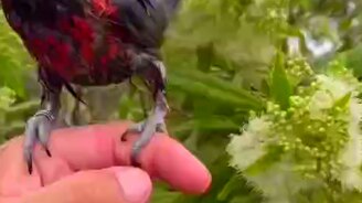 Когда вернулся домой в промозглую погоду - смотреть видео (0:46)