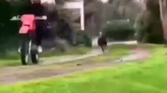 Уж как пытается догнать - смотреть видео (0:10)