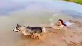 Почему собачнице надо быть сильной - смотреть видео (0:13)