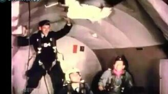 Птицы в космосе - смотреть видео (0:43)