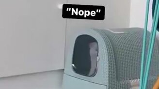 Он не ищет лёгких путей - смотреть видео (0:27)