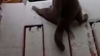 Когда забыл сменить резину - смотреть видео (0:27)