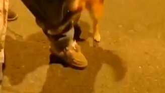 Моя хозяйка вас порвёт! - смотреть видео (0:16)