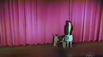 Смешная домашняя подборка 81 - смотреть видео (9:31)