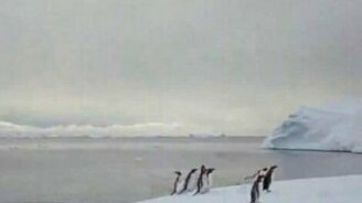 Ушли в плаванье - смотреть видео (0:47)