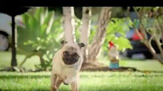 Одержимые чипсами - смотреть видео (0:30)