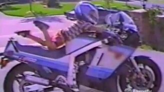 Смешная домашняя подборка 84 - смотреть видео (9:48)