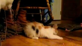 Очень жадный - смотреть видео (3:56)