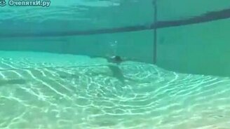 Лбом в стекло - смотреть видео (0:32)