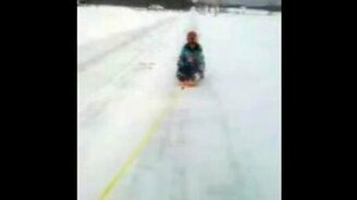 Сбила собаку - смотреть видео (1:08)