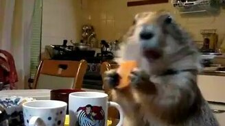 Пока никто не видит - смотреть видео (0:34)