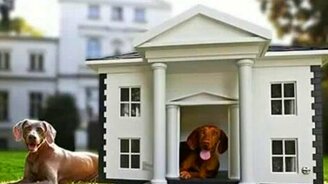 Избушки для питомцев - смотреть видео (0:58)