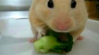 Страх в глазах - смотреть видео (0:05)