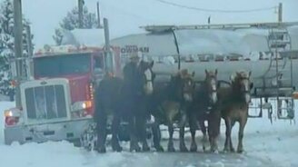 Трусливые тягачи - смотреть видео (0:36)