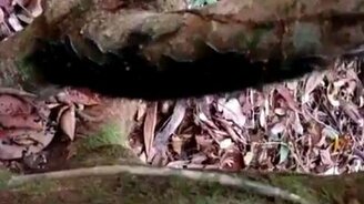 Мерзкий танец - смотреть видео (0:27)