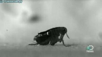 Замедленный прыжок - смотреть видео (1:06)