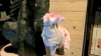 Кот влюбился - смотреть видео (0:30)