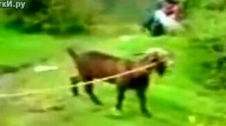 Козёл против Ашера - смотреть видео (0:39)