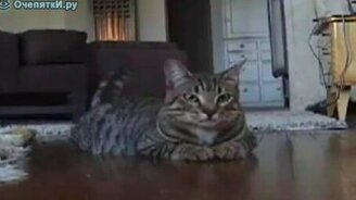 Не такой, как остальные - смотреть видео (1:52)