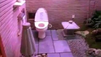 Безумный туалет - смотреть видео (0:44)