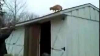 Прыжок прямо в руки - смотреть видео (0:20)