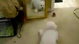 Неужели это я?! - смотреть видео (1:21)