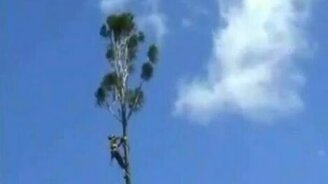 Нелепые люди - смотреть видео (0:55)