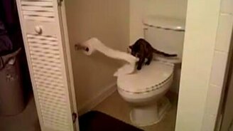 Хозяин туалета - смотреть видео (0:37)