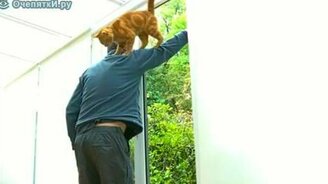 Вошла из окна - смотреть видео (0:32)