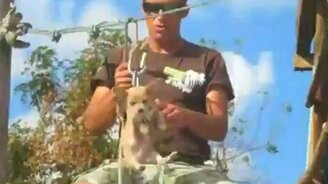 Переправа щенка - смотреть видео (0:41)