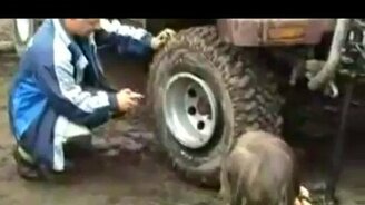 Мгновенно надул шину - смотреть видео (0:22)