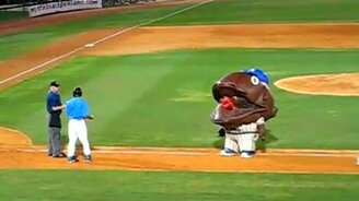 Талисман на поле - смотреть видео (1:37)