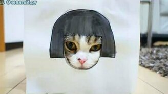 Кот примеряет парики - смотреть видео (1:23)