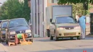 Вы сбили моего кота - смотреть видео (1:50)