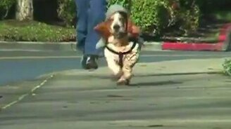 Бегущий Шерлок - смотреть видео (0:27)