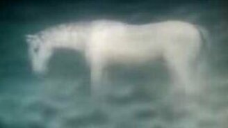 Трейлер ёжик в тумане - смотреть видео (0:58)