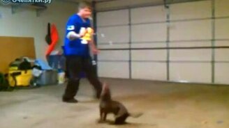 Игра в Пэкмена - смотреть видео (0:51)