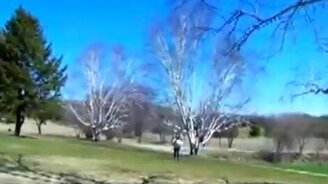 Вбежал в сарай - смотреть видео (1:15)