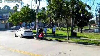 Гусь сопроводитель - смотреть видео (0:46)