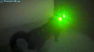 Инопланетный кот - смотреть видео (0:21)