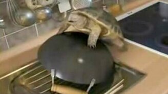 Любовь слепа - смотреть видео (0:21)