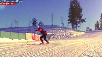 Увидел медведя - смотреть видео (0:26)