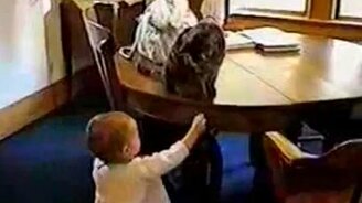 Кошка, соска и малыш - смотреть видео (0:41)