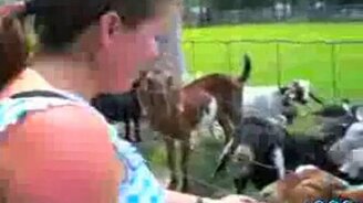 Козья песня - смотреть видео (1:21)