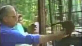 Животные и люди - смотреть видео (1:16)