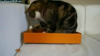 Дербанит коробку - смотреть видео (3:09)